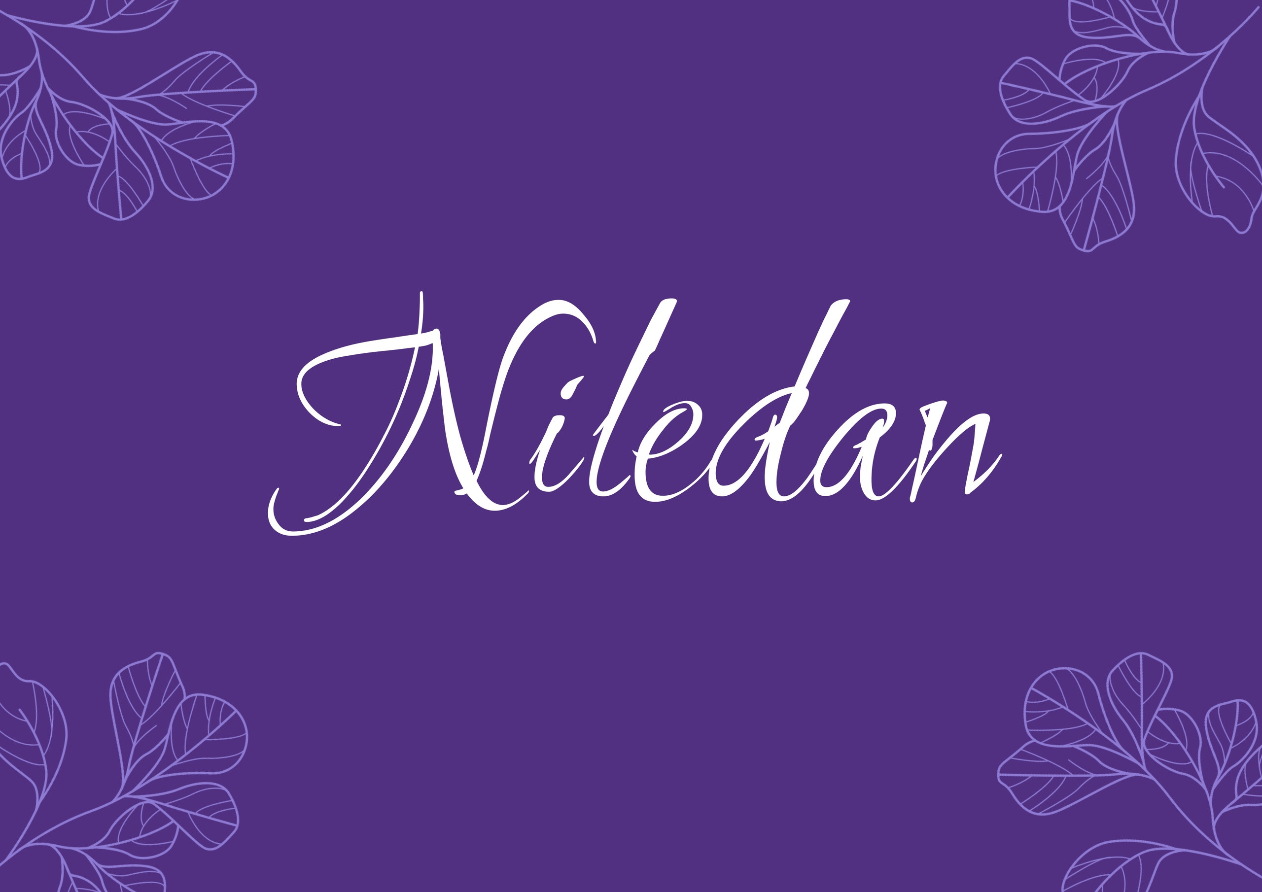 Студия сенсорной терапии Niledan
