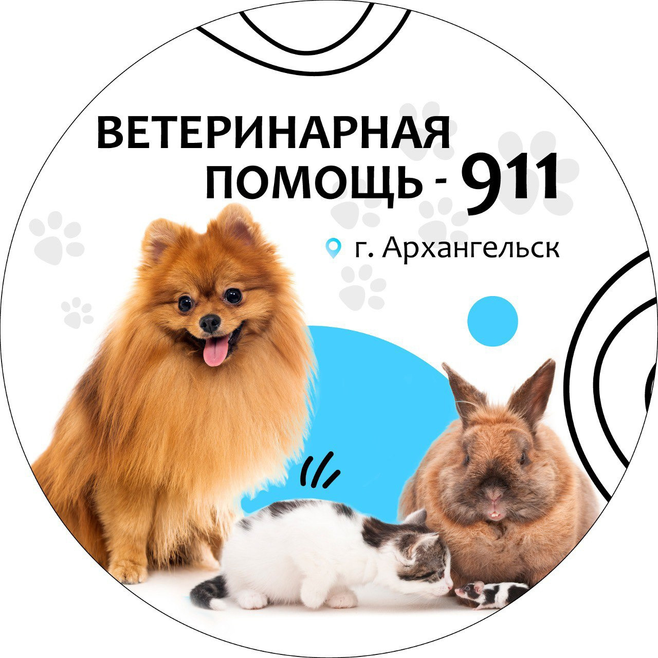 Ветеринарная клиника Vet911help