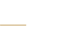 Stepanov group