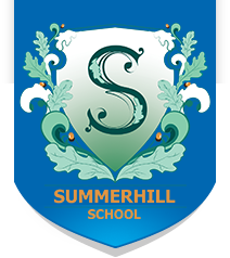 Частная школа Summerhill в деревне Столбово