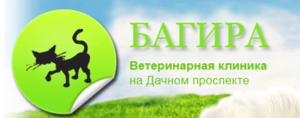 Ветеринарная клиника Багира