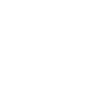 Гостевой дом Шмель в деревне Шмелёнки